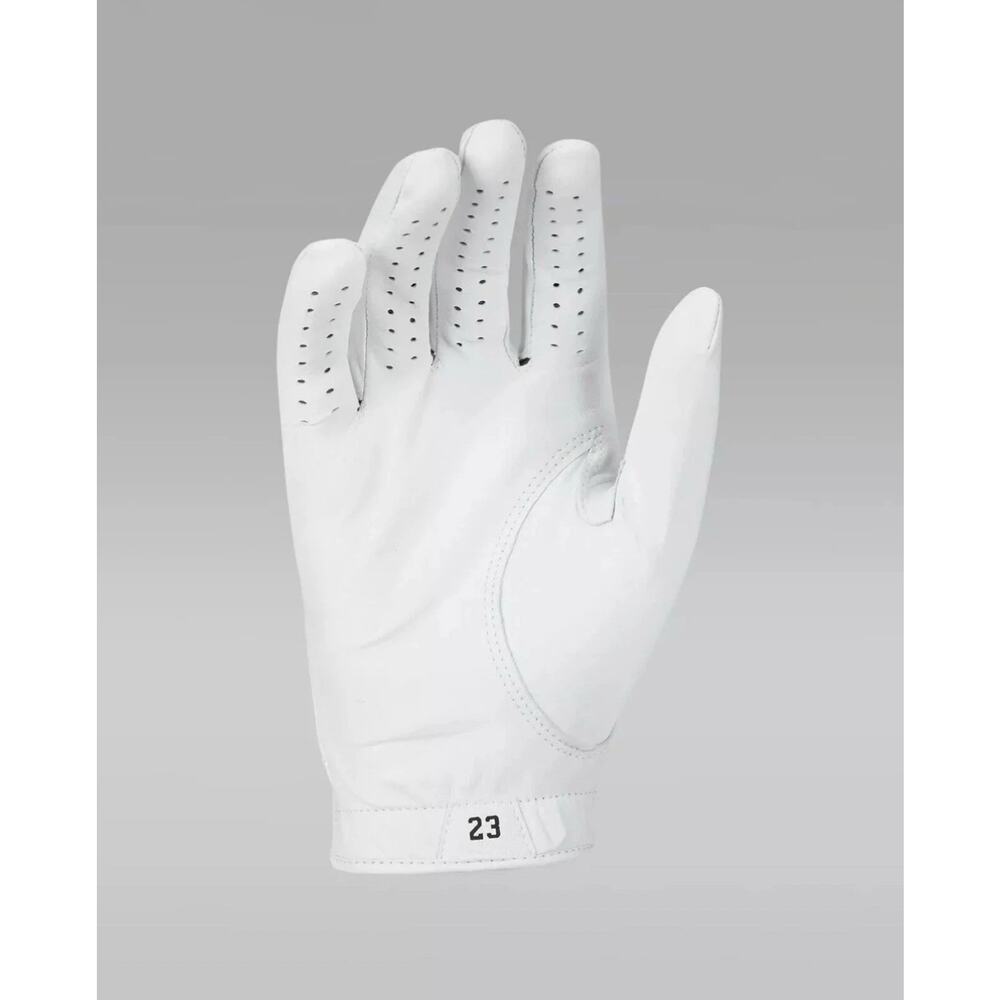NWT Nike Air Jordan Tour Golf Glove Left Hand White/Concord Size C-XL - Picture 2 of 4